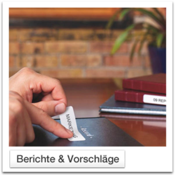 Label Manager 210D